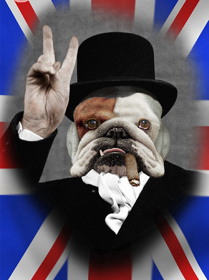 Bulldog